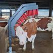 Image sur Brosse ANIZEN en C murale